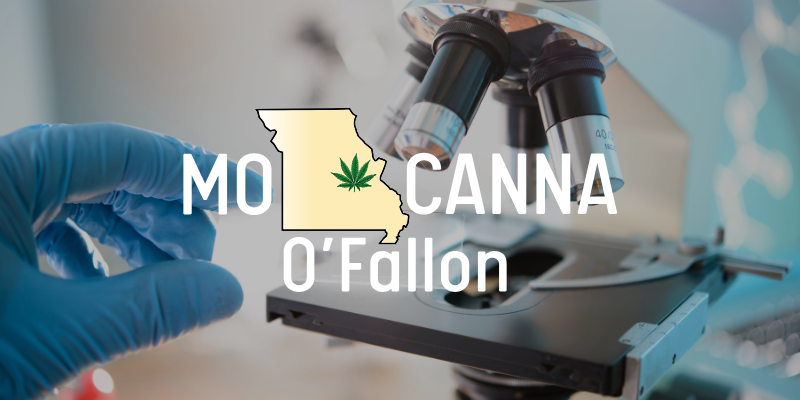 Contact MO Canna O'Fallon for expert insights on interpreting COAs and ensuring the quality of your cannabis products!