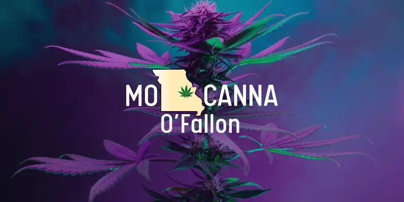 How to use cannabinoids to unlock creativity with MO Canna O'Fallon