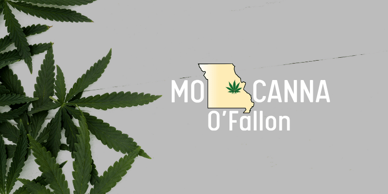 Contact MO Canna O'Fallon to explore innovative cannabis research and personalized product solutions today!