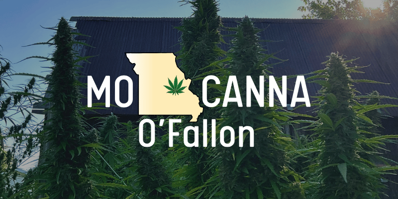 seasonal cannabis storage o'fallon missouri