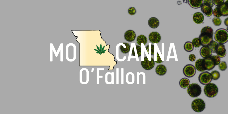 cannabis terpenes o'fallon missouri