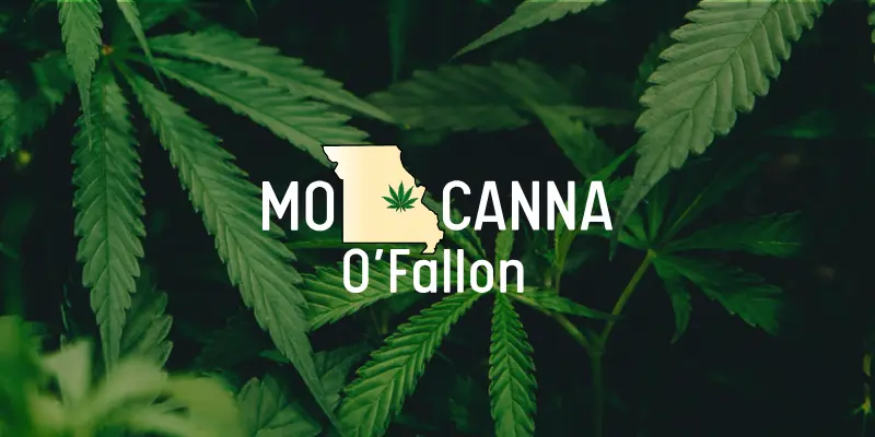 Learn how to manage your cannabis tolerance for a more enjoyable experience with MO Canna O'Fallon.